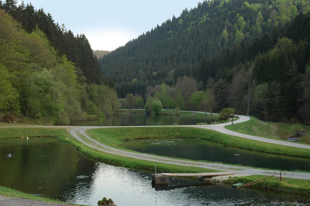 Ferienregion Nagoldtal
